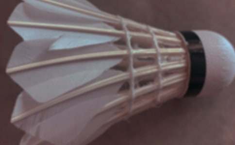 ���ٌW����ë����ĵø���