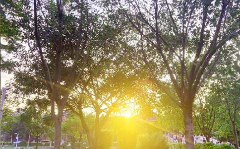 �_��һЦ�簲ף���Z