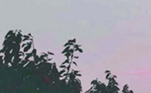 �������õ��簲����Ȧף���Z29�l