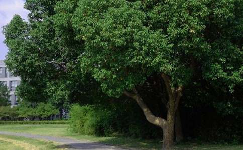 ����ů���簲�İ�145��