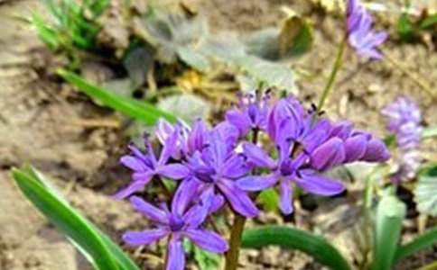 2023�꺆�̵����õ��簲΢��ף���Zժ�43�l