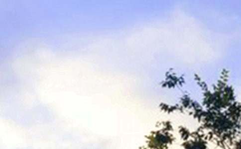 �����������簲ף���Z80�侫�x