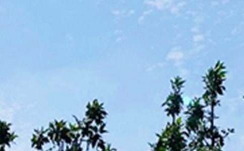 ���T��ܰ�簲ף���Z��ȫ�����x145�䣩