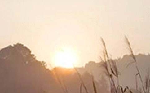 �簲ף���Z�R����ͨ��50�䣩