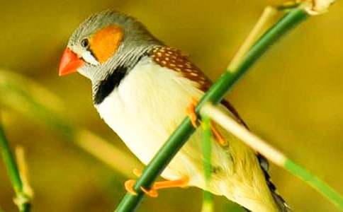 �������B���x����루ͨ��17ƪ��