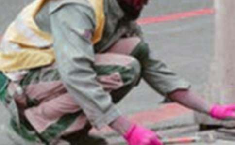 �w�(y��n)�I(y��)����300�֣����x11ƪ��