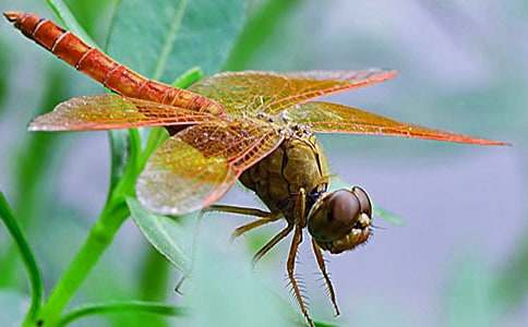 �x���������ĵø��뷶��