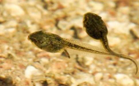 ��С����ҋ������̰��OӋ��ͨ��23ƪ��