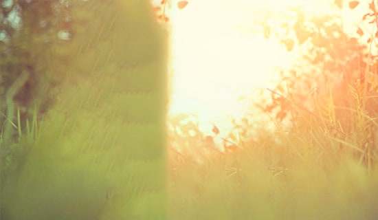 �ِ�Ψ���f�f�����R��50�侫�x