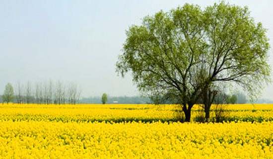 �а��H�Ӵ��λ�ӷ���