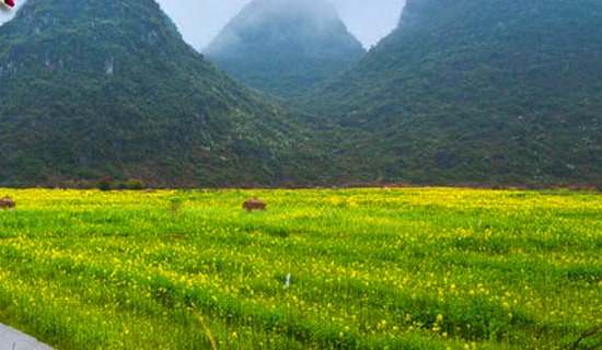 ����H�Ӵ��λ�ӷ���2ƪ�����㡿