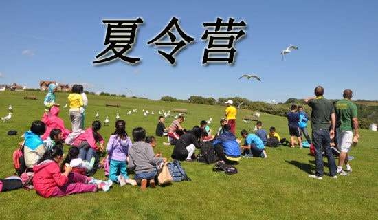 ����I(y��ng)�_(k��i)�I(y��ng)�xʽ�vԒ�壨ͨ��19ƪ��